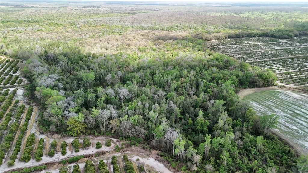 На продажу: $3,962,500 (317.09 acres)