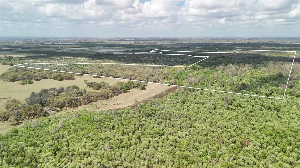 На продажу: $3,962,500 (317.09 acres)