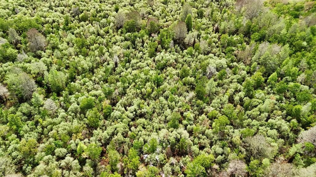 На продажу: $3,962,500 (317.09 acres)