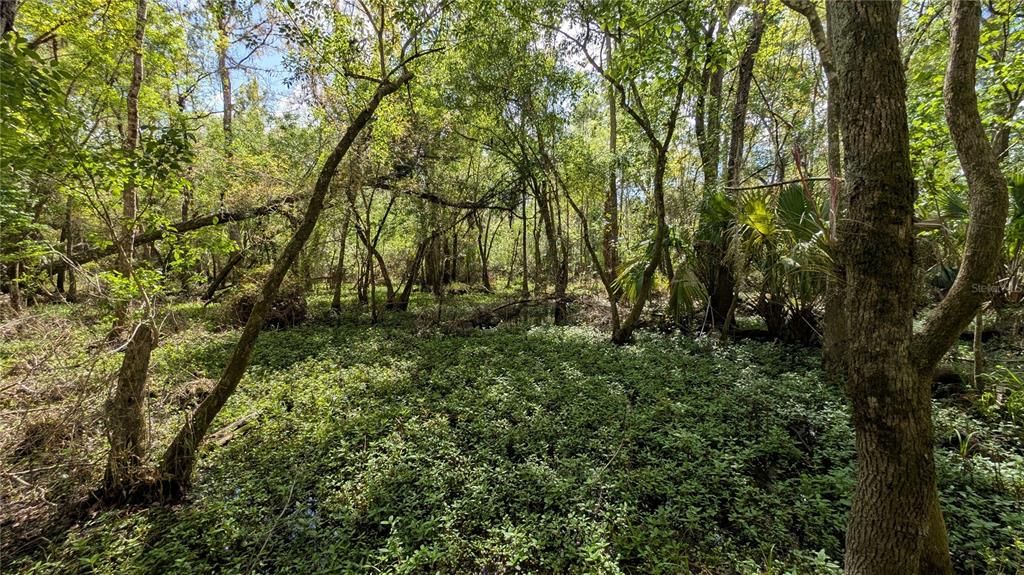 На продажу: $3,962,500 (317.09 acres)