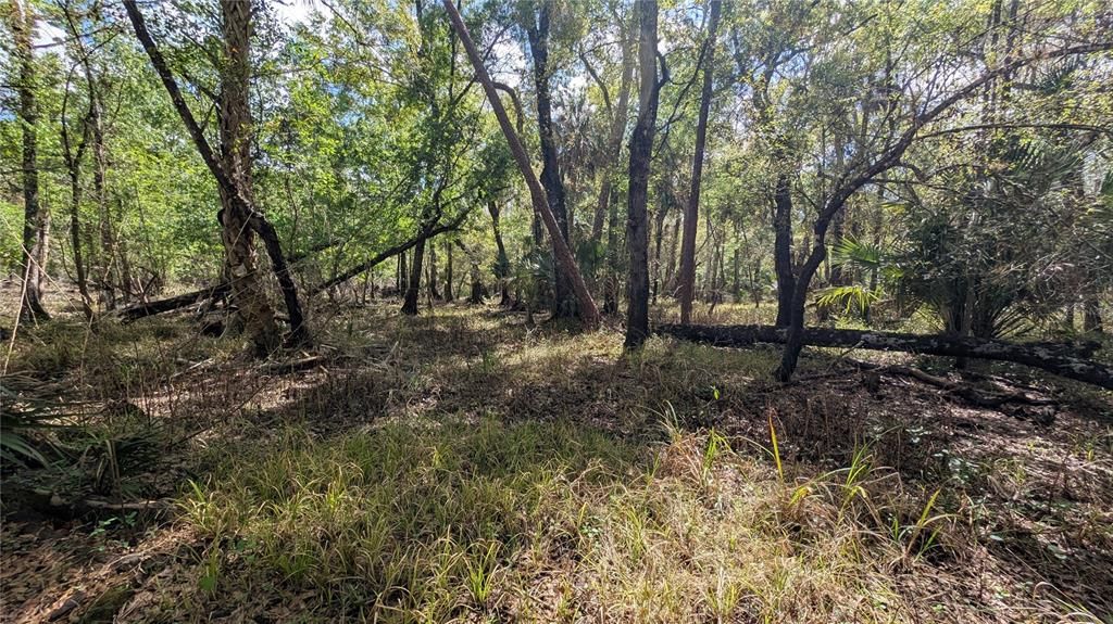 На продажу: $3,962,500 (317.09 acres)