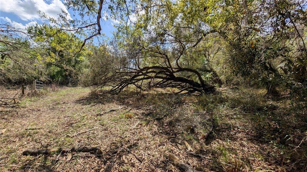 На продажу: $3,962,500 (317.09 acres)