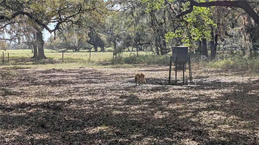 На продажу: $3,962,500 (317.09 acres)