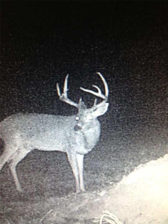 На продажу: $3,962,500 (317.09 acres)