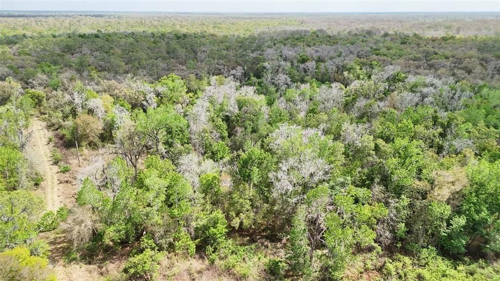 На продажу: $3,962,500 (317.09 acres)