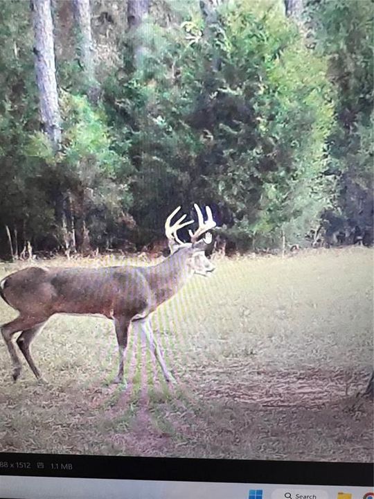 На продажу: $3,962,500 (317.09 acres)