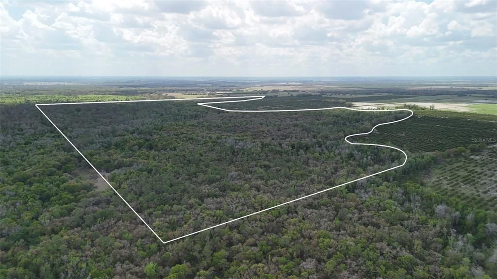 На продажу: $3,962,500 (317.09 acres)