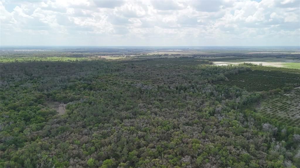 На продажу: $3,962,500 (317.09 acres)