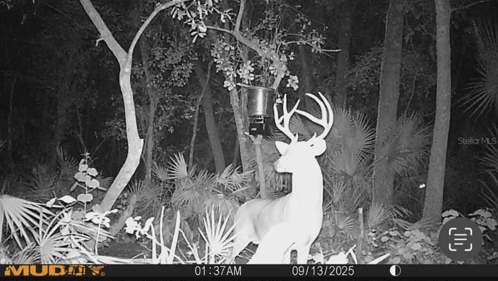 На продажу: $3,962,500 (317.09 acres)