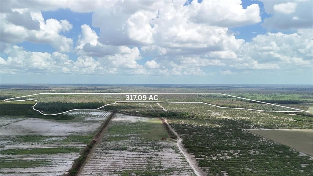 На продажу: $3,962,500 (317.09 acres)