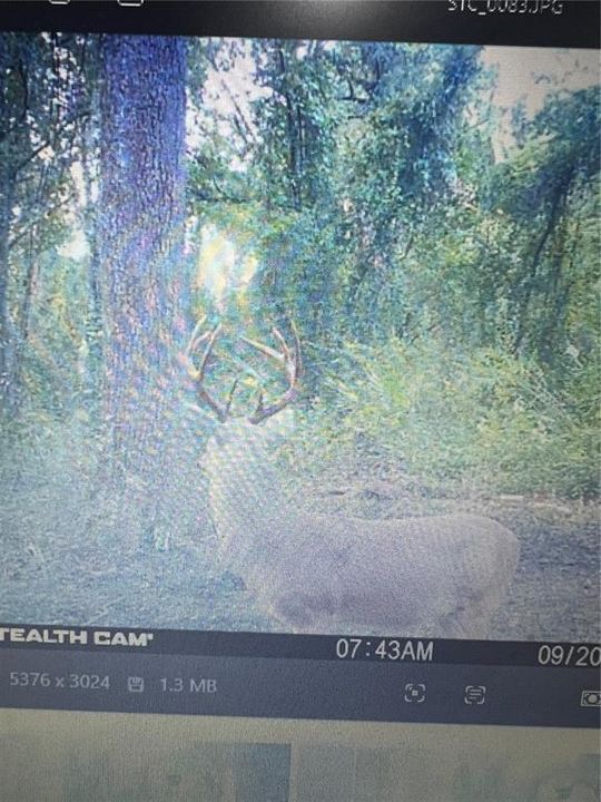 На продажу: $3,962,500 (317.09 acres)