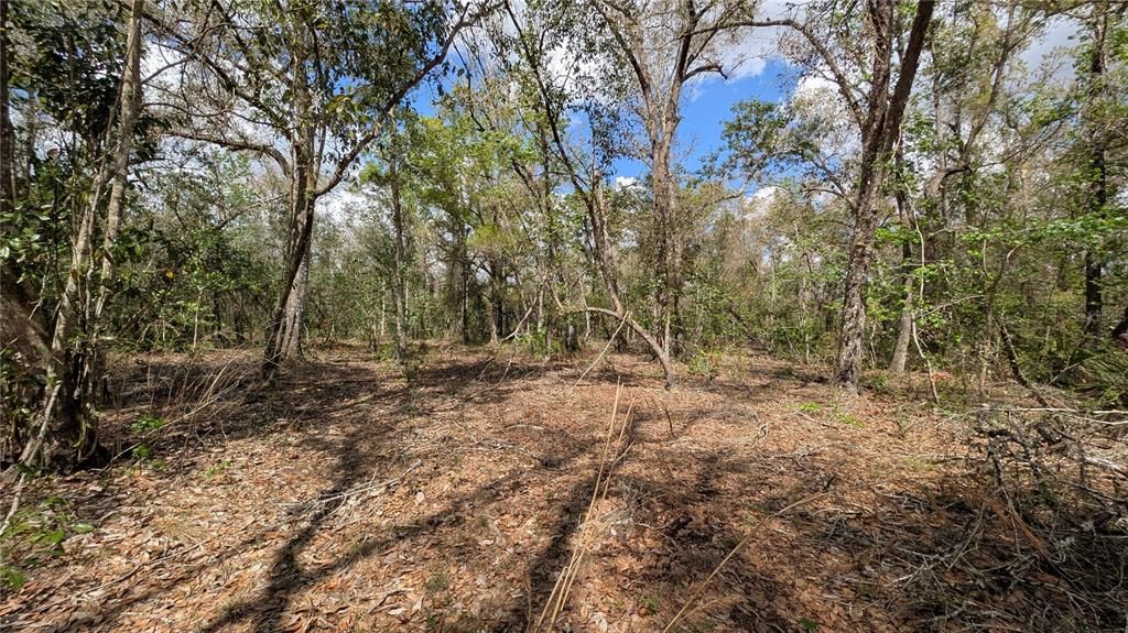 На продажу: $3,962,500 (317.09 acres)