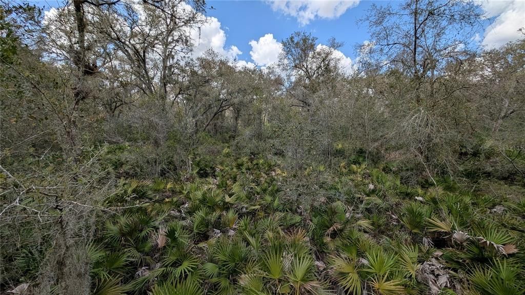 На продажу: $3,962,500 (317.09 acres)