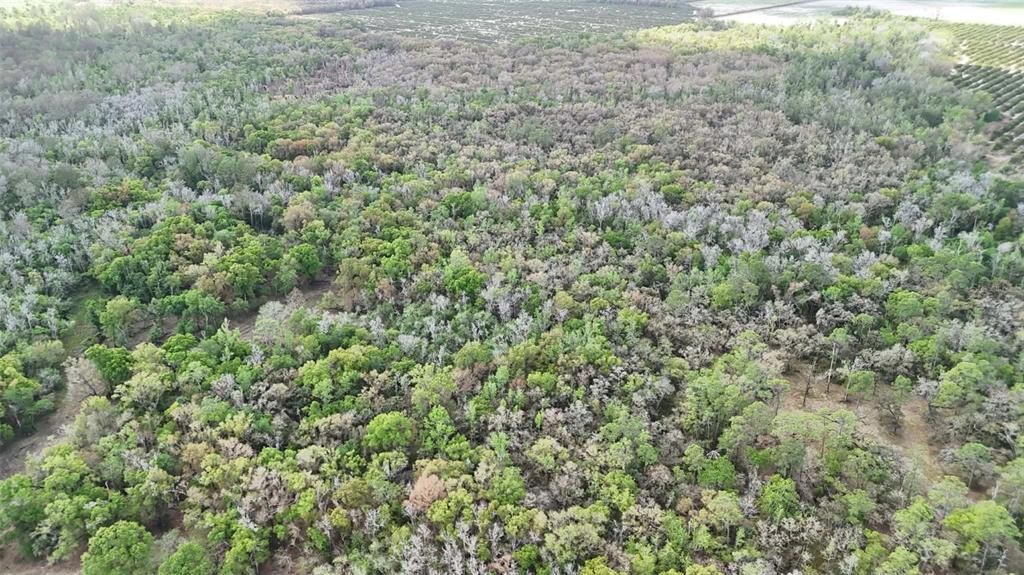 На продажу: $3,962,500 (317.09 acres)