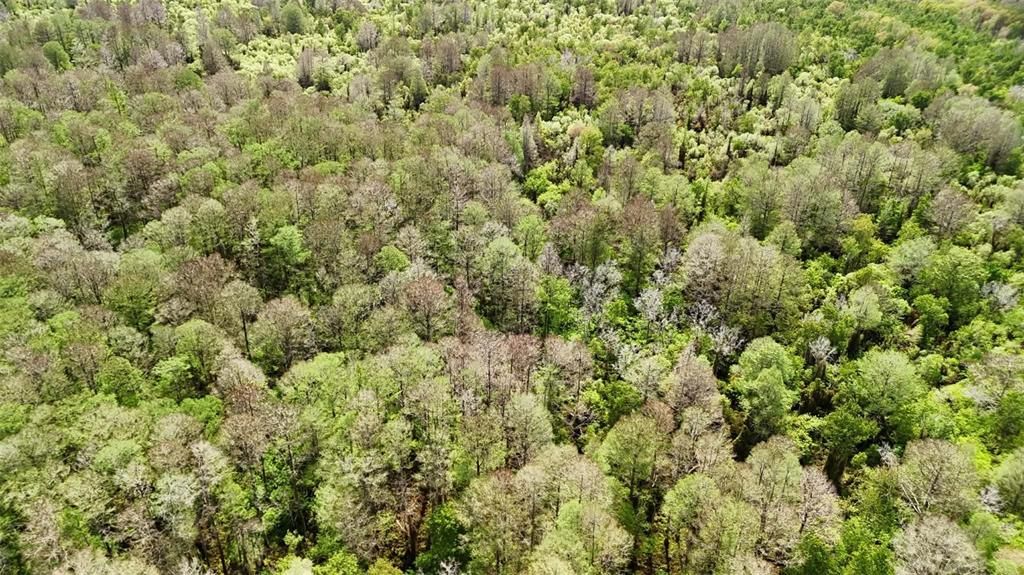 На продажу: $3,962,500 (317.09 acres)