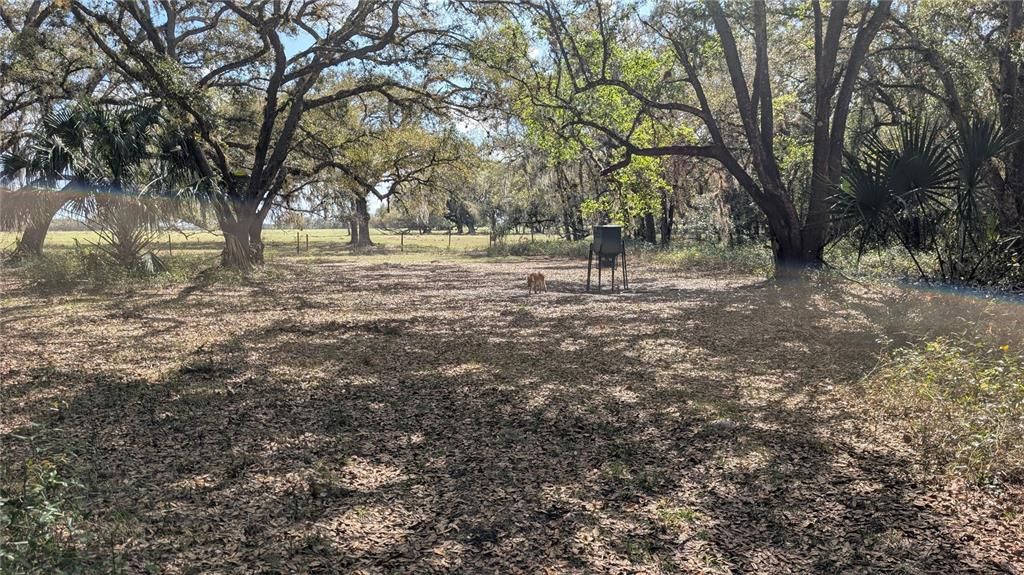 На продажу: $3,962,500 (317.09 acres)