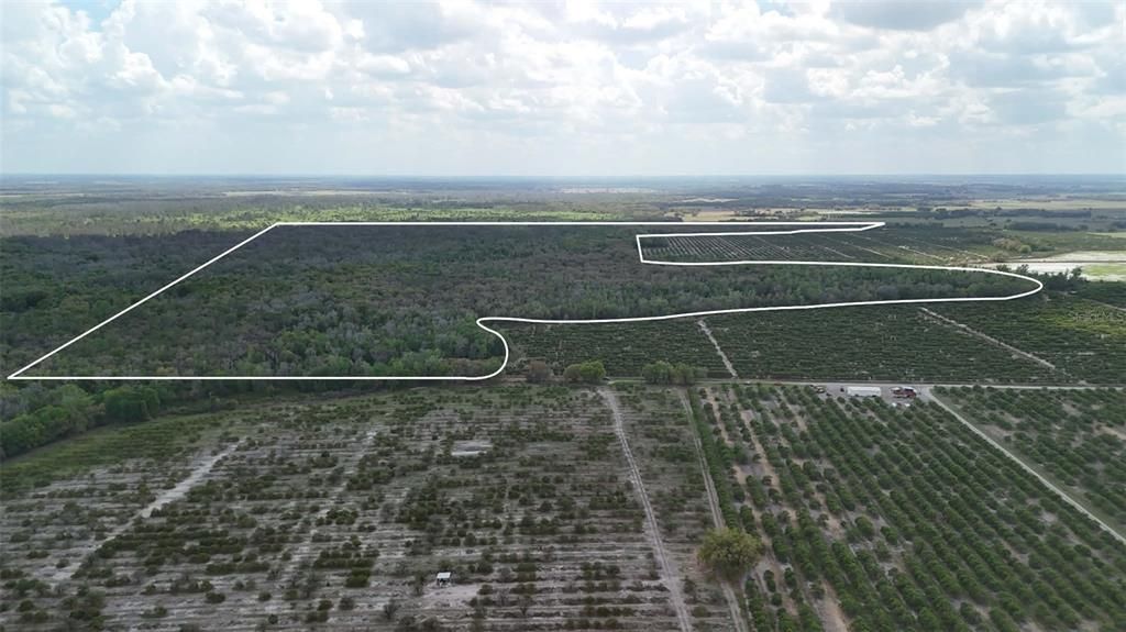 На продажу: $3,962,500 (317.09 acres)