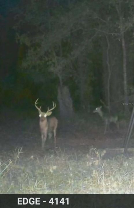 На продажу: $3,962,500 (317.09 acres)