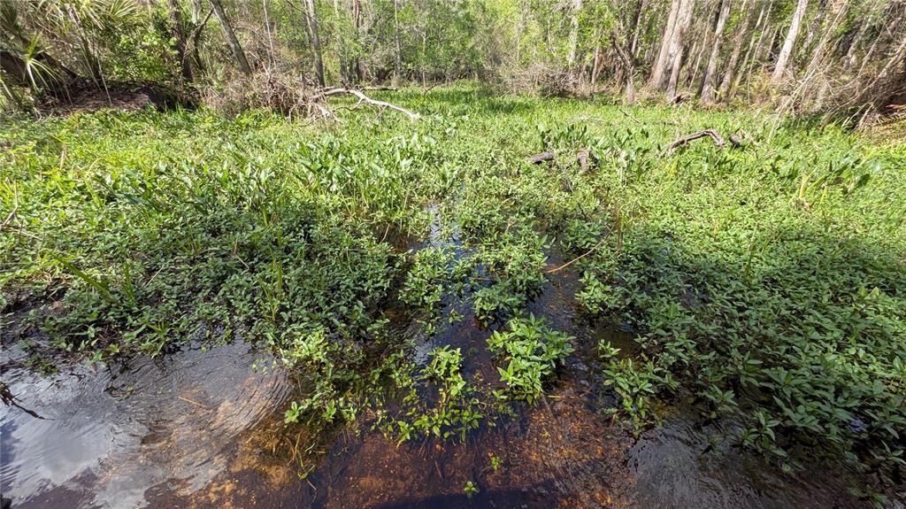 На продажу: $3,962,500 (317.09 acres)