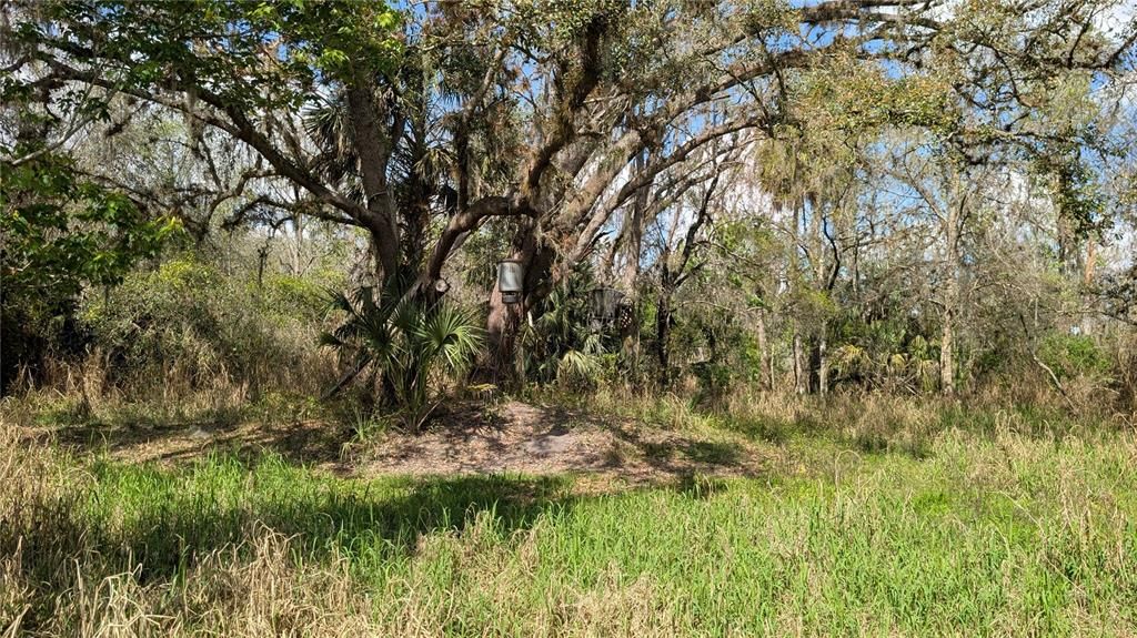 На продажу: $3,962,500 (317.09 acres)