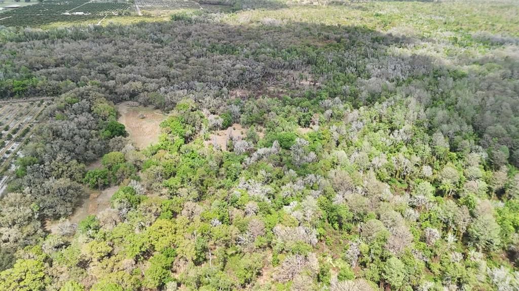 На продажу: $3,962,500 (317.09 acres)