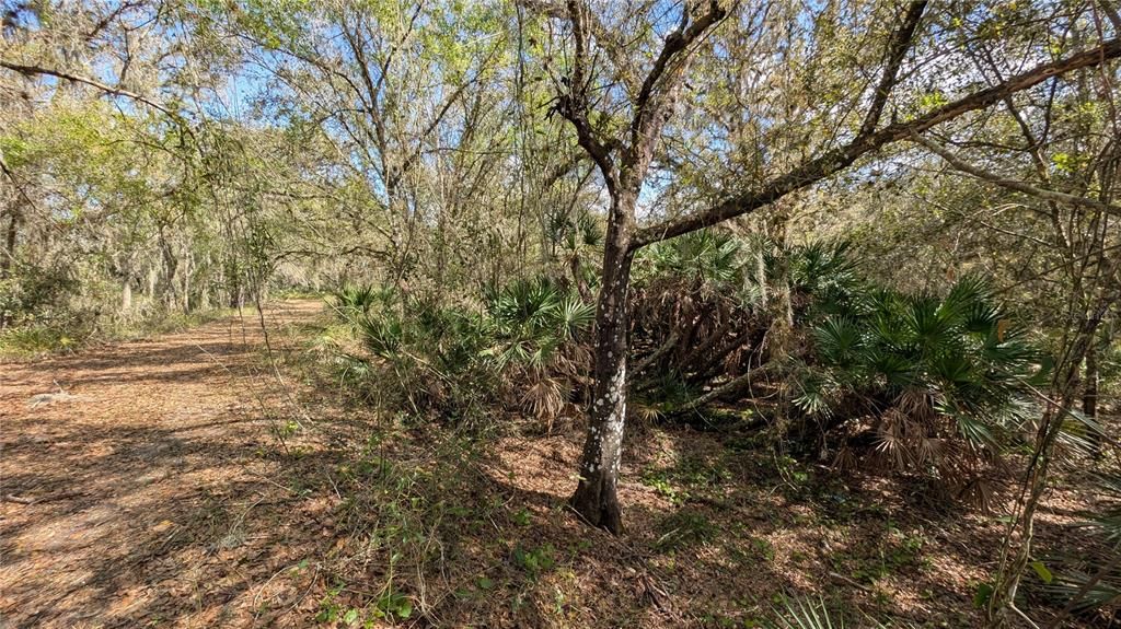 На продажу: $3,962,500 (317.09 acres)