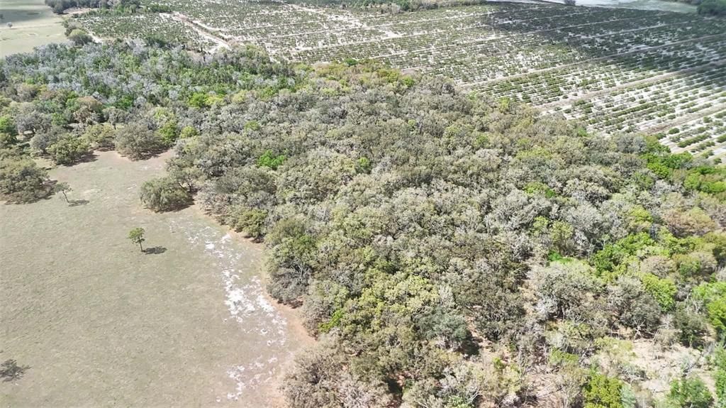 На продажу: $3,962,500 (317.09 acres)