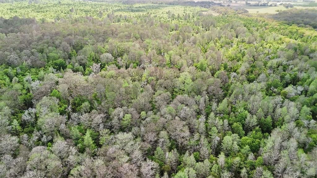 На продажу: $3,962,500 (317.09 acres)