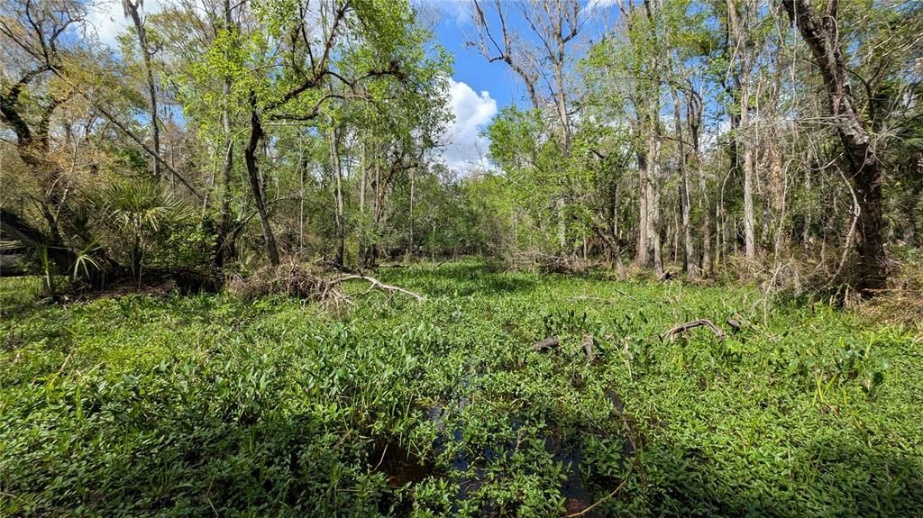 На продажу: $3,962,500 (317.09 acres)