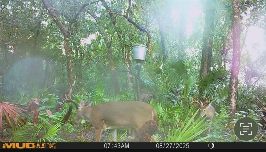 На продажу: $3,962,500 (317.09 acres)