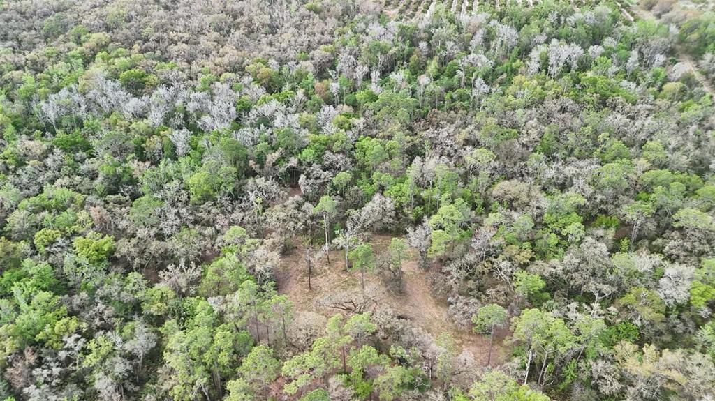 На продажу: $3,962,500 (317.09 acres)