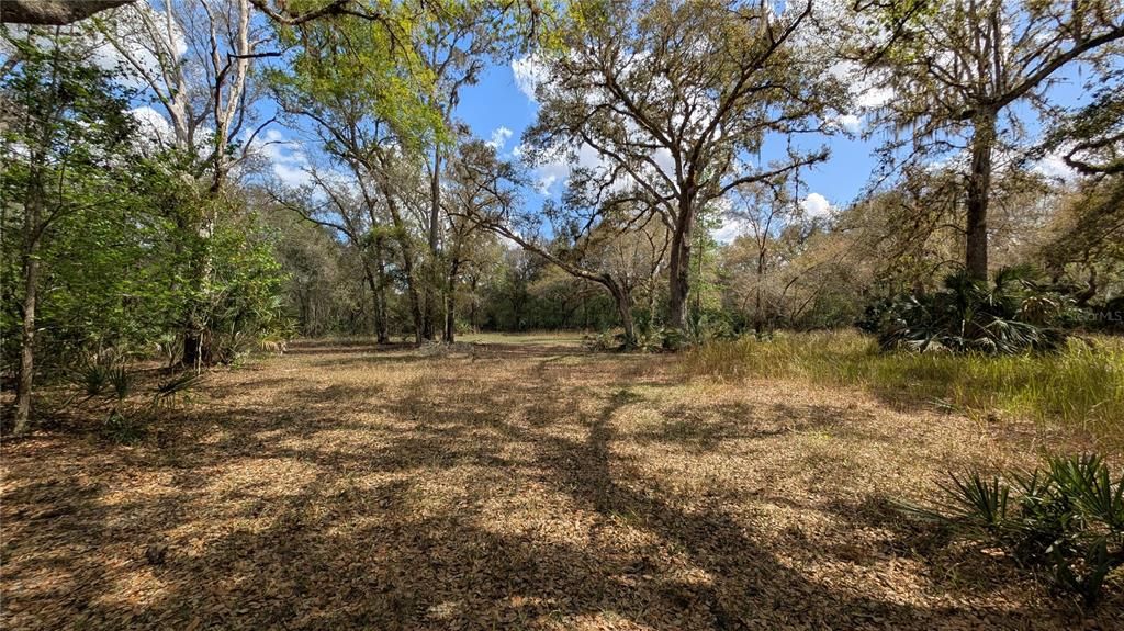 На продажу: $3,962,500 (317.09 acres)