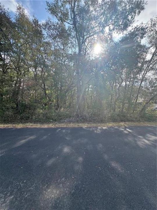 На продажу: $28,500 (0.23 acres)