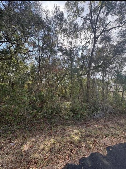 На продажу: $28,500 (0.23 acres)