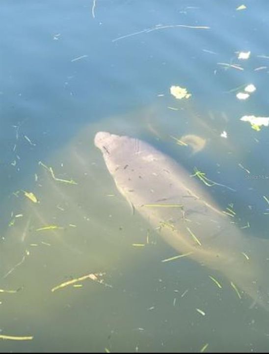 En Renta: $1,200 (2 camas, 1 baños, 800 Pies cuadrados)