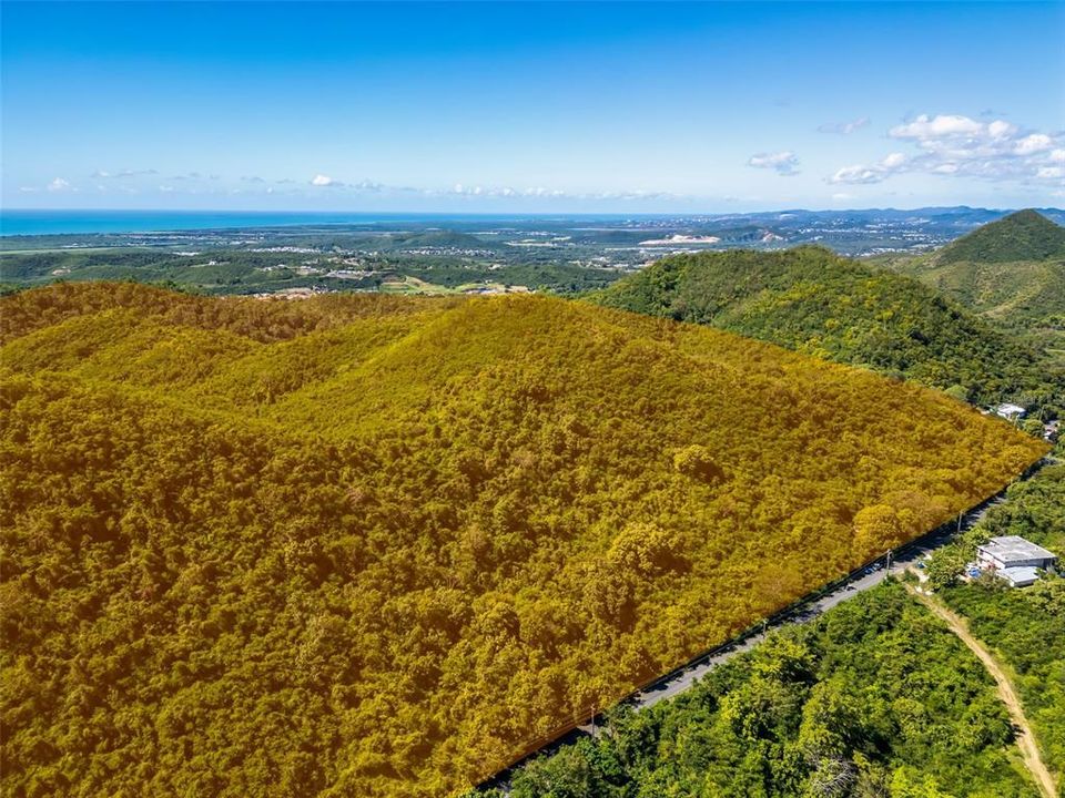 For Sale: $1,500,000 (185.00 acres)