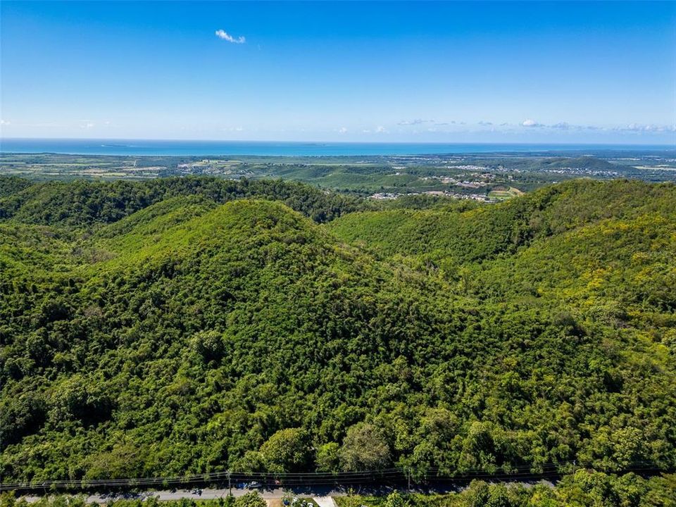 For Sale: $1,500,000 (185.00 acres)