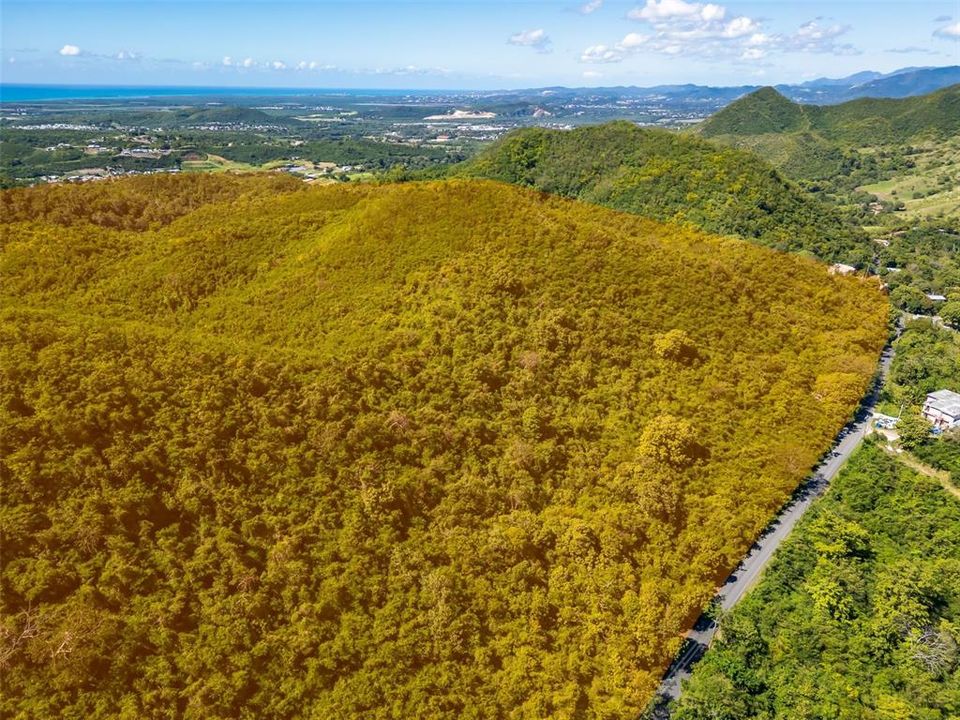 For Sale: $1,500,000 (185.00 acres)
