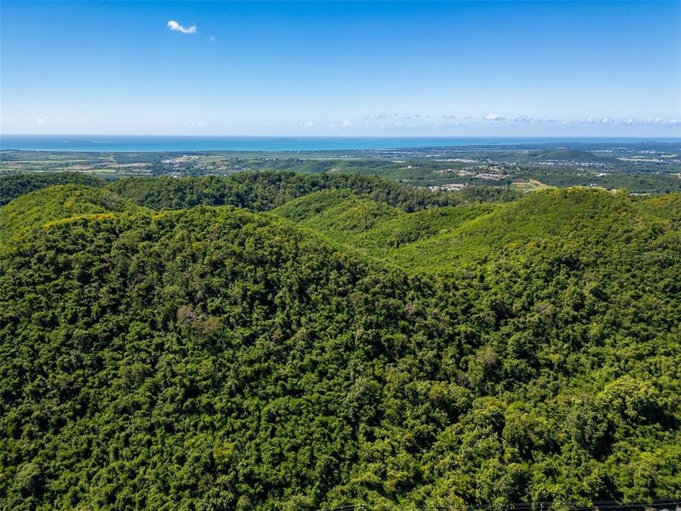 For Sale: $1,500,000 (185.00 acres)