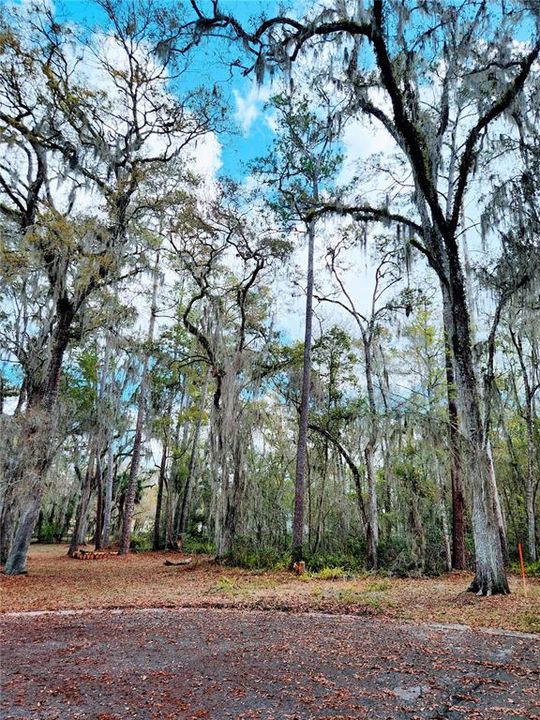 En Venta: $45,000 (0.62 acres)