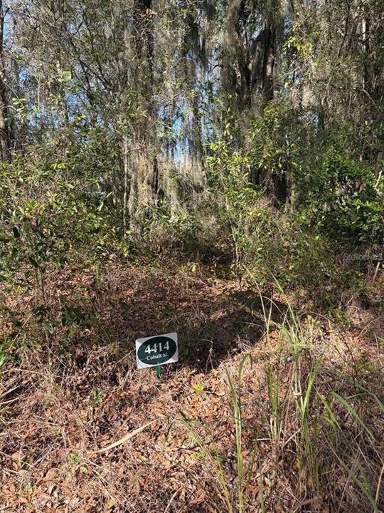 For Sale: $26,450 (0.17 acres)