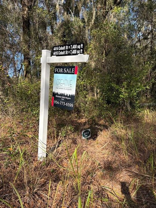 For Sale: $26,450 (0.17 acres)