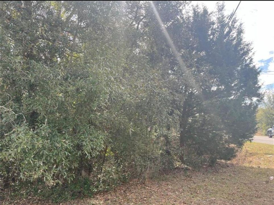 待售: $40,000 (0.32 acres)