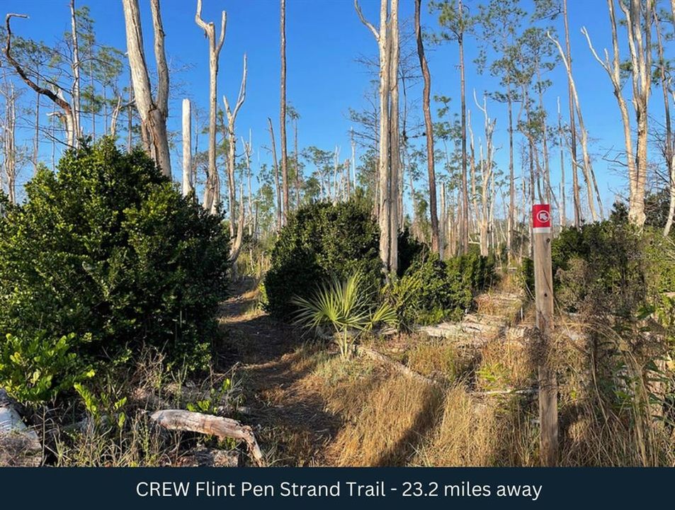 待售: $117,000 (2.73 acres)