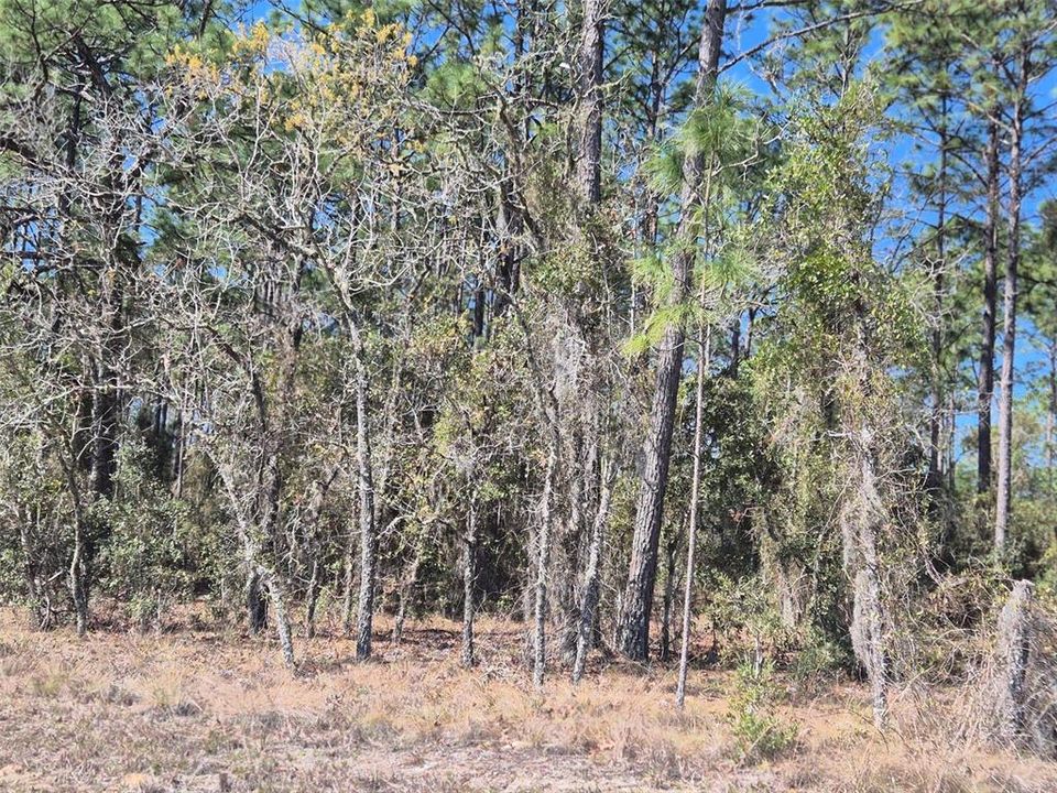 На продажу: $29,900 (1.00 acres)