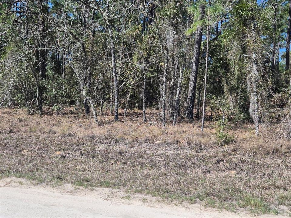 На продажу: $29,900 (1.00 acres)