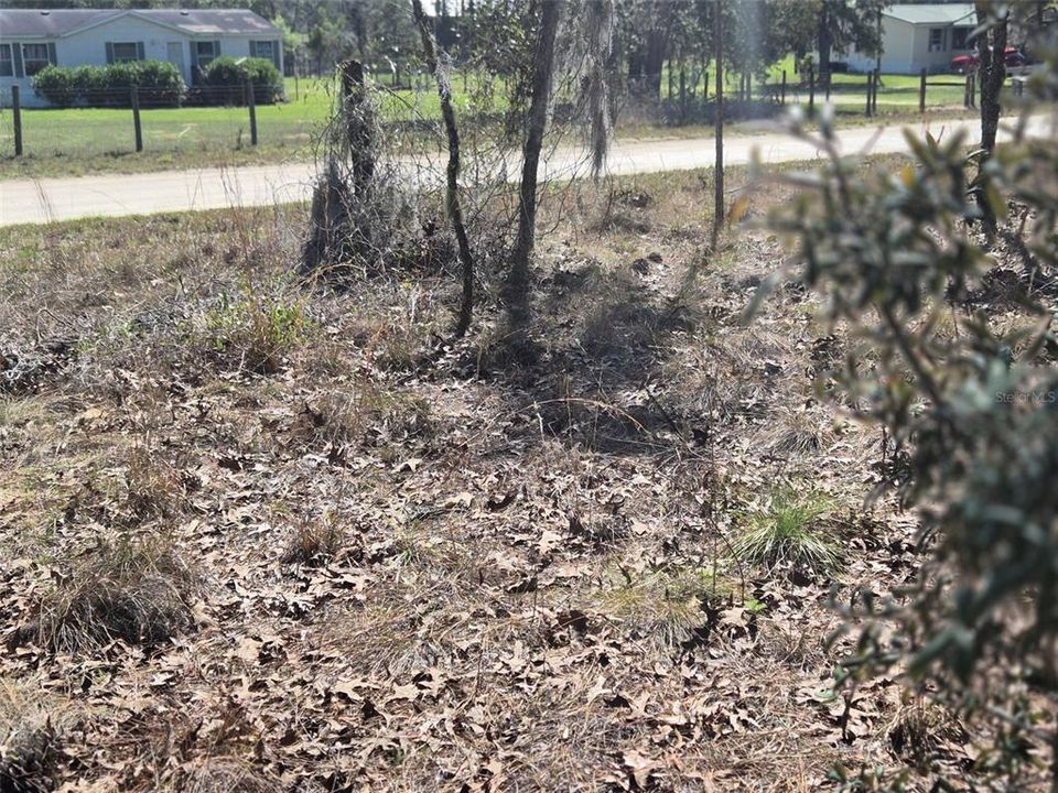 На продажу: $29,900 (1.00 acres)