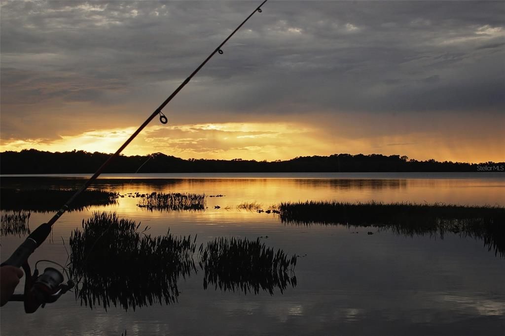 待售: $210,000 (2 贝兹, 2 浴室, 1316 平方英尺)