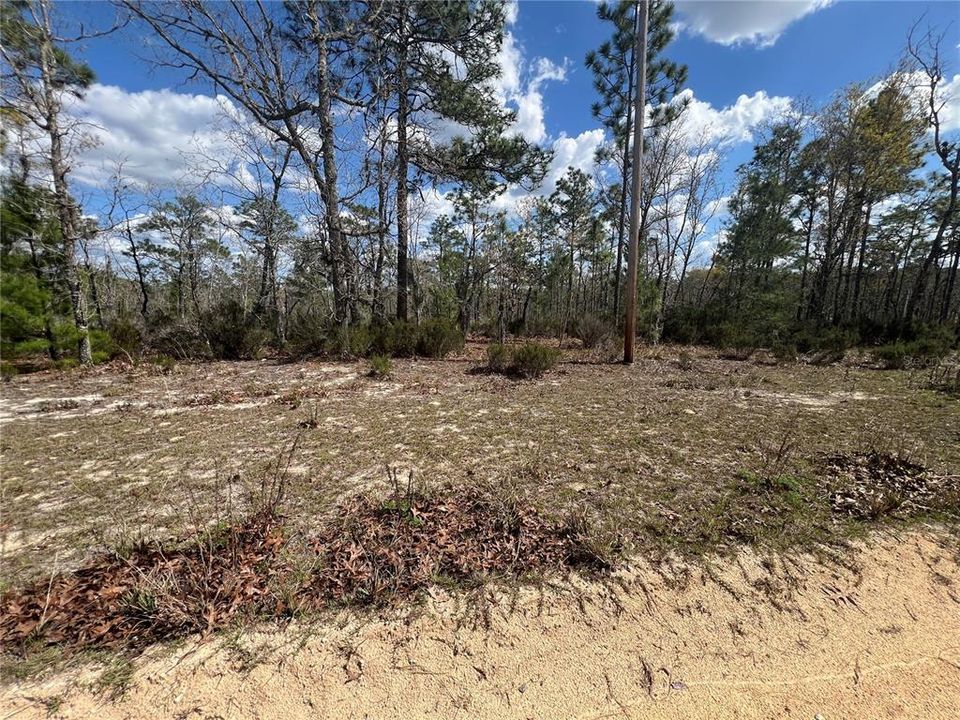 En Venta: $79,900 (5.02 acres)