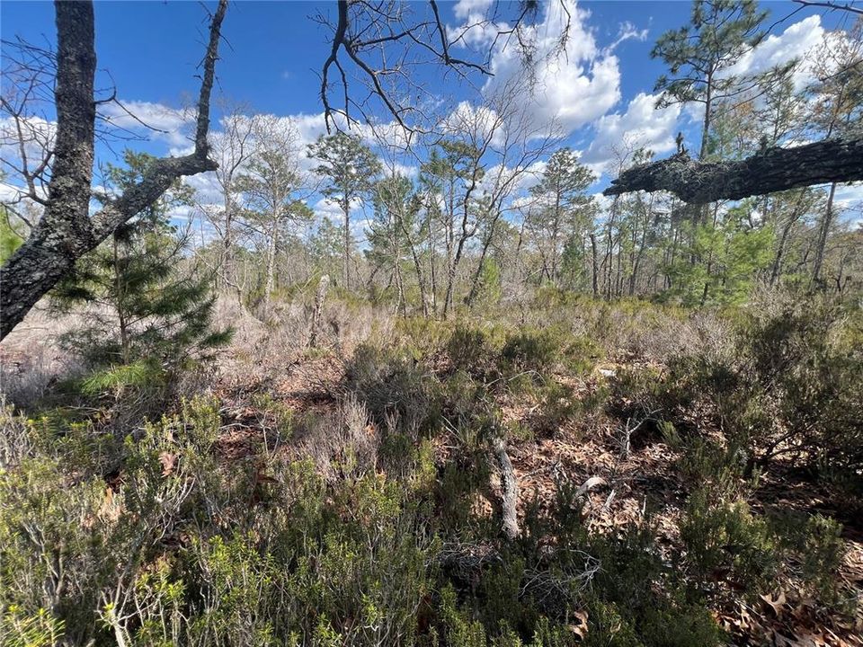 En Venta: $79,900 (5.02 acres)